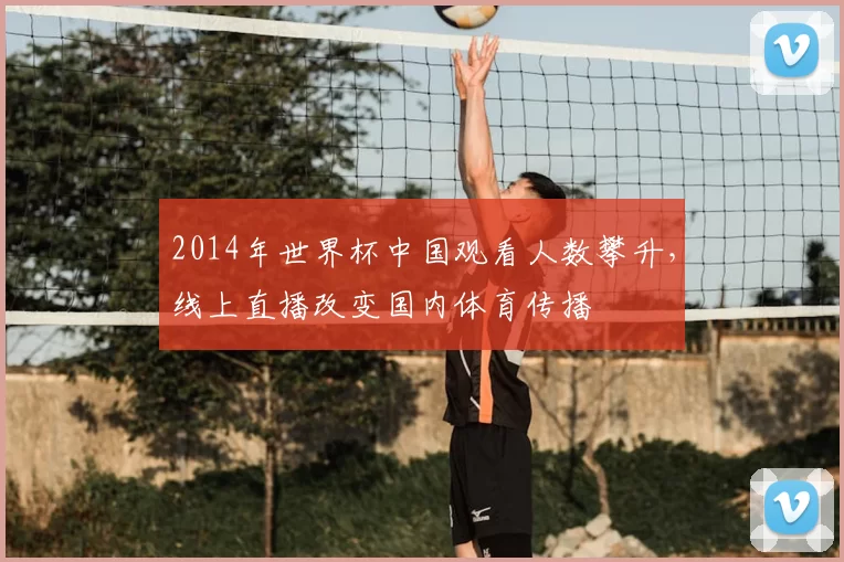 2014年世界杯中国观看人数攀升，线上直播改变国内体育传播