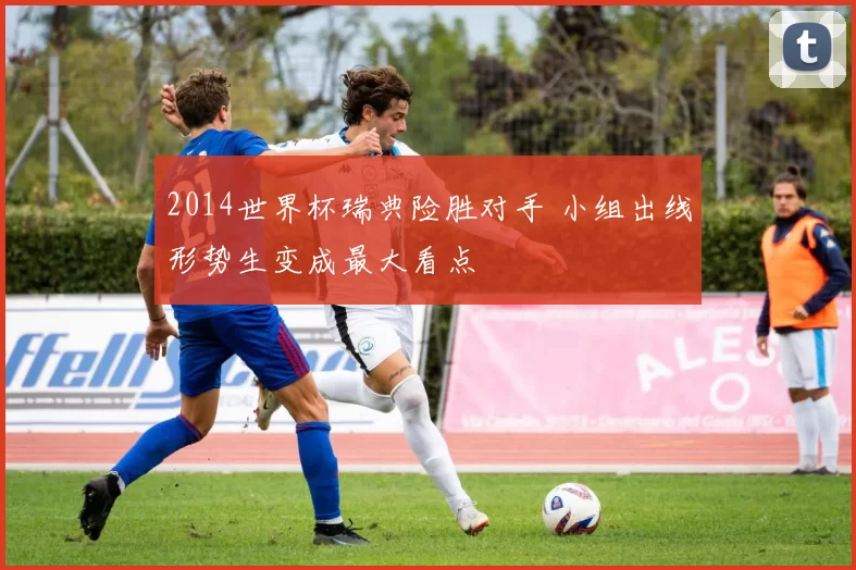 2014世界杯瑞典险胜对手 小组出线形势生变成最大看点