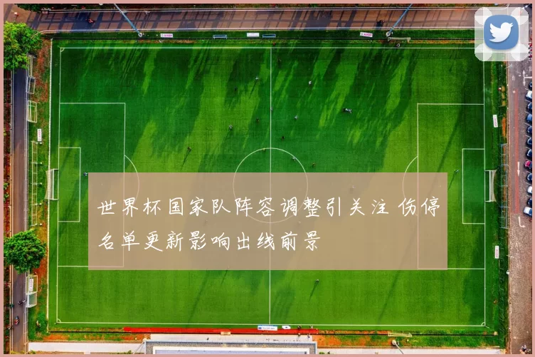 世界杯国家队阵容调整引关注 伤停名单更新影响出线前景