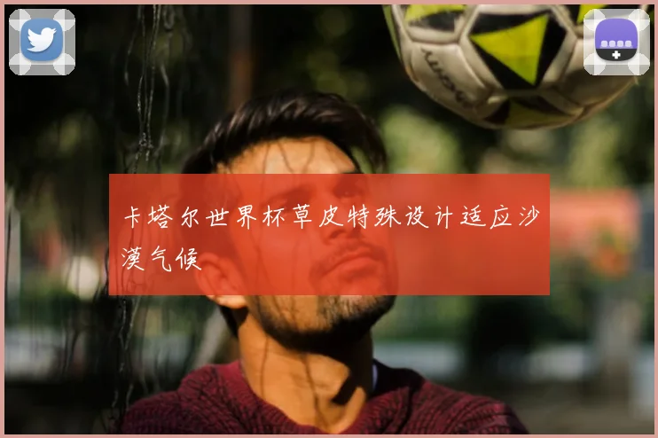 卡塔尔世界杯草皮特殊设计适应沙漠气候